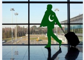 اوور سیز پاکستانیوں نے ملک میں نئے انتظامی یونٹس کی حمایت کردی