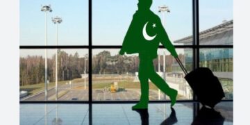 اوور سیز پاکستانیوں نے ملک میں نئے انتظامی یونٹس کی حمایت کردی