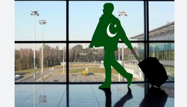 اوور سیز پاکستانیوں نے ملک میں نئے انتظامی یونٹس کی حمایت کردی
