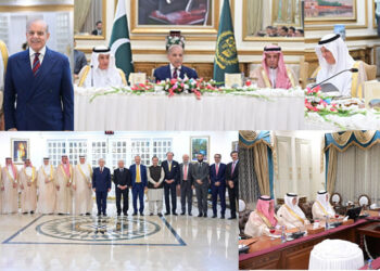 وزیر اعظم سے سعودی وفد کی ملاقات ، دیرینہ تعلقات تجارتی شراکت میں تبدیل کریں گے: شہباز شریف