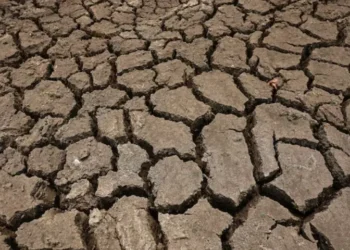 سپر ال نینو: شدید گرمی سے ساڑھے 4 لاکھ اضافی اموات کا خدشہ