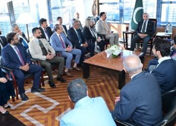 وزیرِ اعظم سے امریکا میں مقیم کاروباری شخصیات و پروفیشنلز کے وفود کی ملاقاتیں