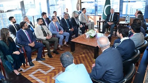 وزیرِ اعظم سے امریکا میں مقیم کاروباری شخصیات و پروفیشنلز کے وفود کی ملاقاتیں