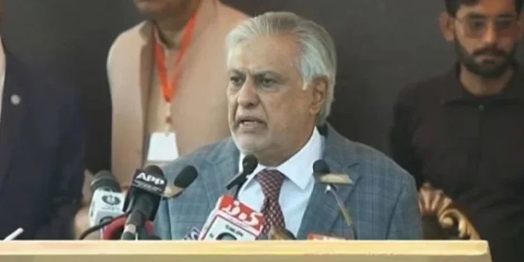 کشمیریوں کی حقِ خودارادیت کی جدوجہد کو جبر سے نہیں دبایا جا سکتا: اسحاق ڈار