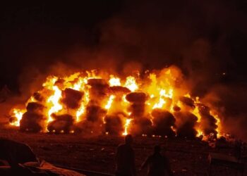 ترکیہ میں آسمانی بجلی گرنے سے 500 ٹن بھوسا جل کر خاکستر
