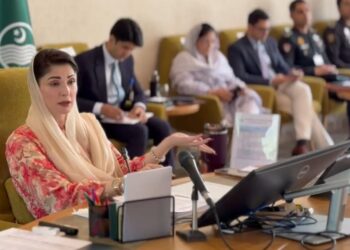 مریم نواز کی زیر صدارت پنجاب کابینہ کا اجلاس، 1995 ارب روپے کی سرمایہ کاری، 1لاکھ 62 ہزار سے زائد روزگار کے مواقع پیدا ہوں گے