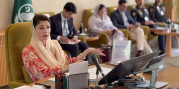 مریم نواز کی زیر صدارت پنجاب کابینہ کا اجلاس، 1995 ارب روپے کی سرمایہ کاری، 1لاکھ 62 ہزار سے زائد روزگار کے مواقع پیدا ہوں گے