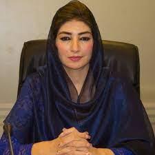 مولانا فضل الرحمان غیر ذمہ دارانہ بیانات اور بے بنیاد الزامات سے گریز کرنا چاہیے، فرح عظیم شاہ